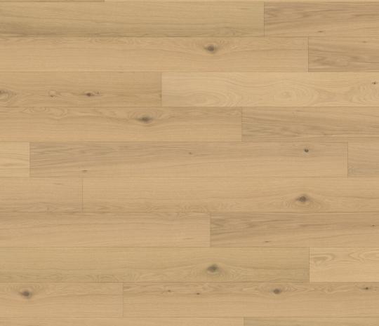 sand oak