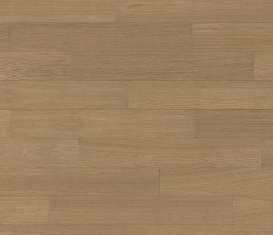 sahara oak
