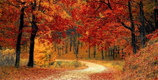 herfst 2025